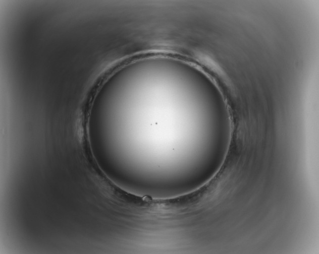 X0000089871360200707051144