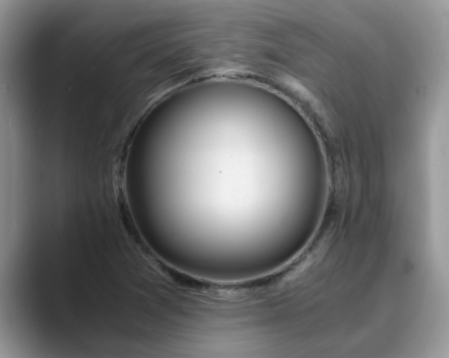 X0000089871361200707051144