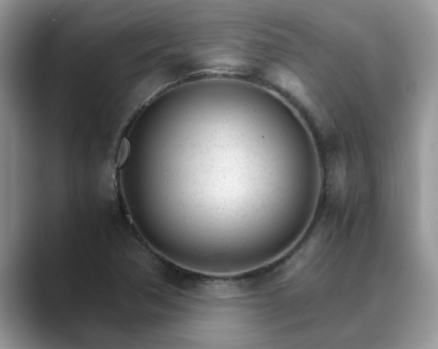 X0000089871362200707051144