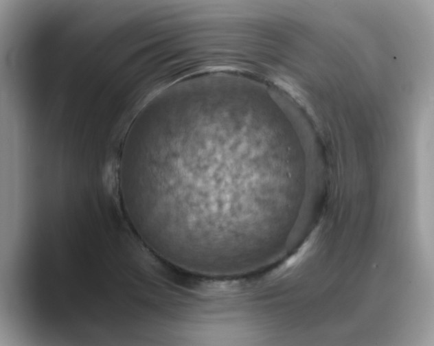 X0000089871369200707051144