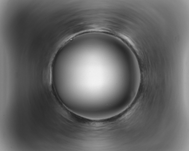 X0000089871371200707051144
