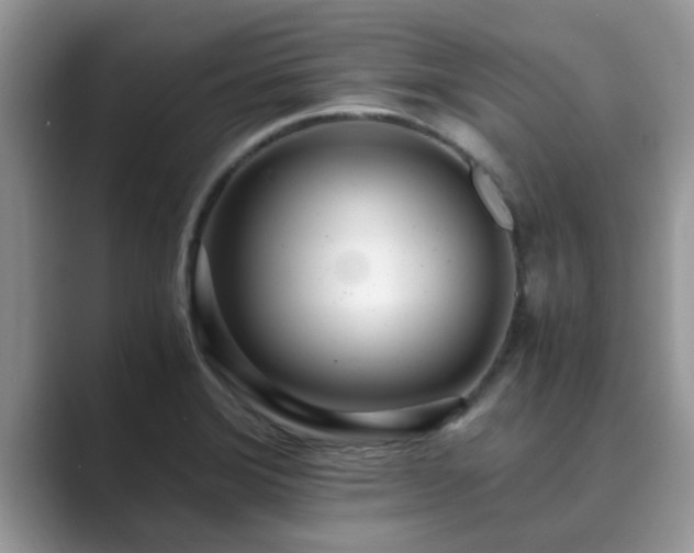 X0000089871372200707051144