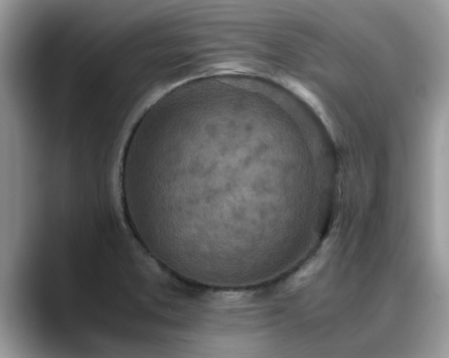 X0000089871373200707051144