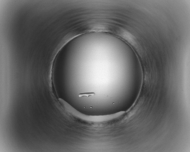 X0000089871378200707051144