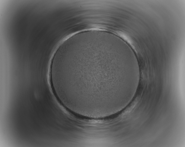X0000089871379200707051144