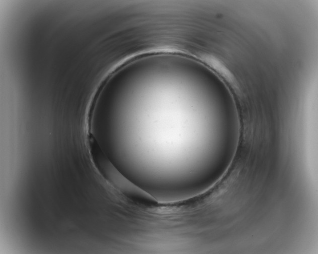 X0000089871380200707051144