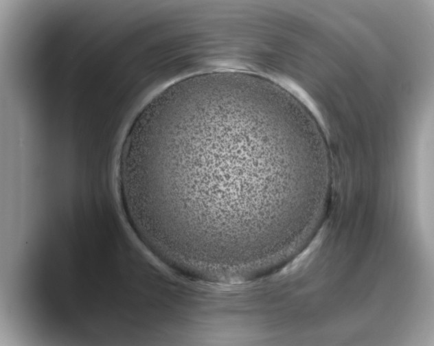 X0000089871381200707051144