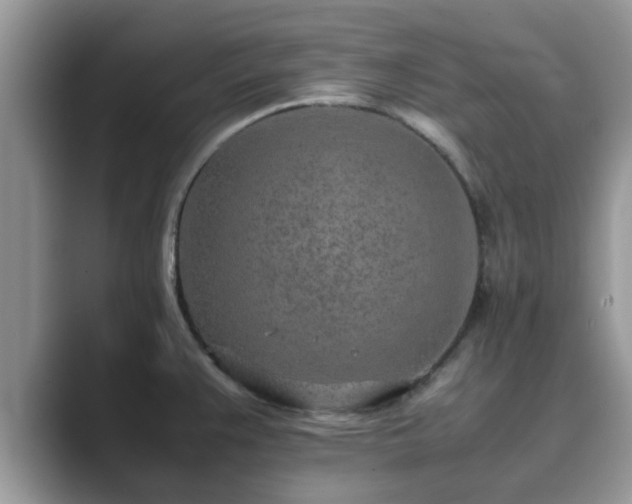 X0000089871383200707051144
