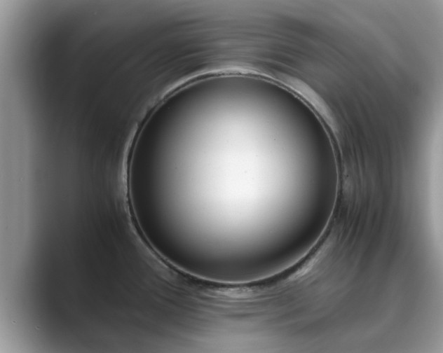 X0000089871388200707051144
