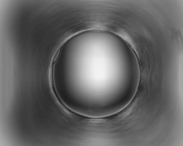 X0000089871391200707051144