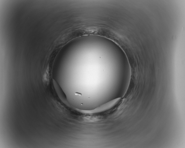 X0000089871394200707051143