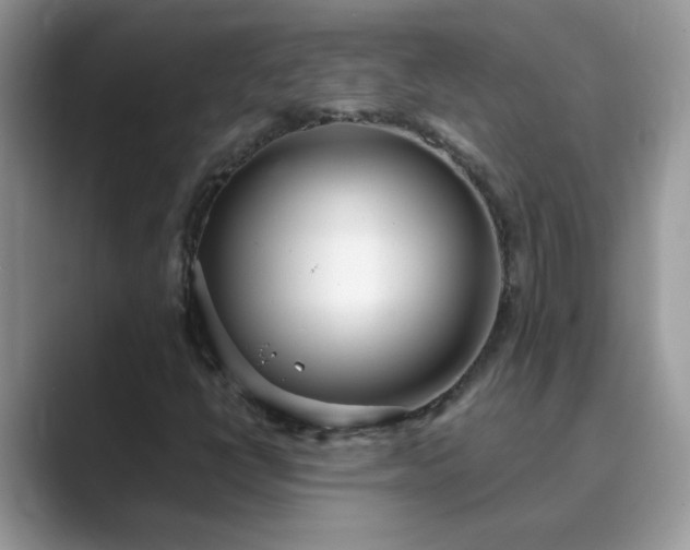X0000089871398200707051143