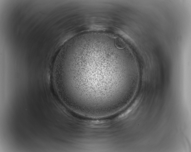 X0000089871401200707051143