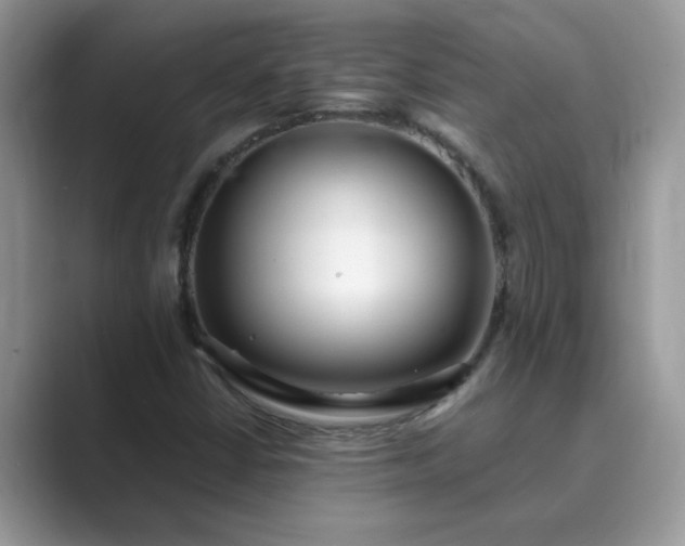 X0000089871402200707051143