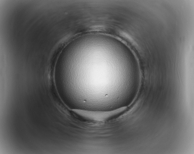 X0000089871403200707051143