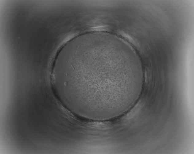 X0000089871405200707051143
