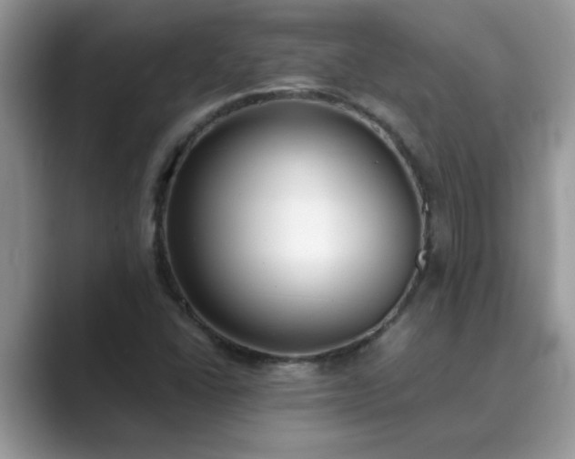 X0000089871406200707051143
