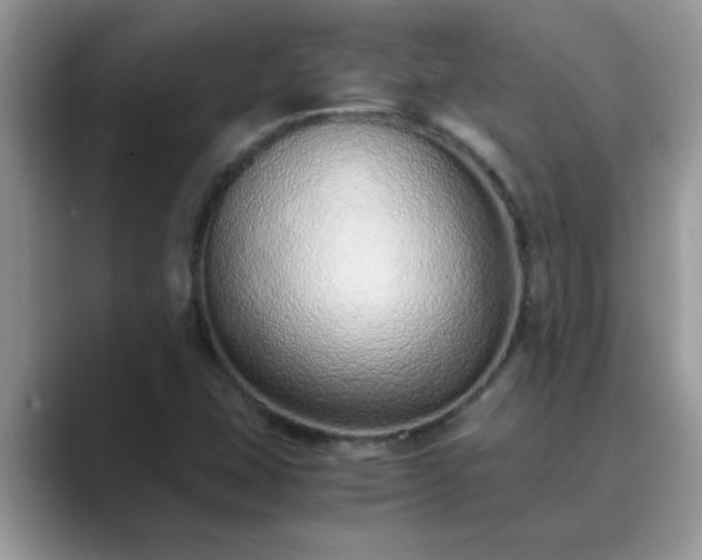 X0000089871407200707051143