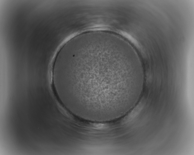 X0000089871413200707051143