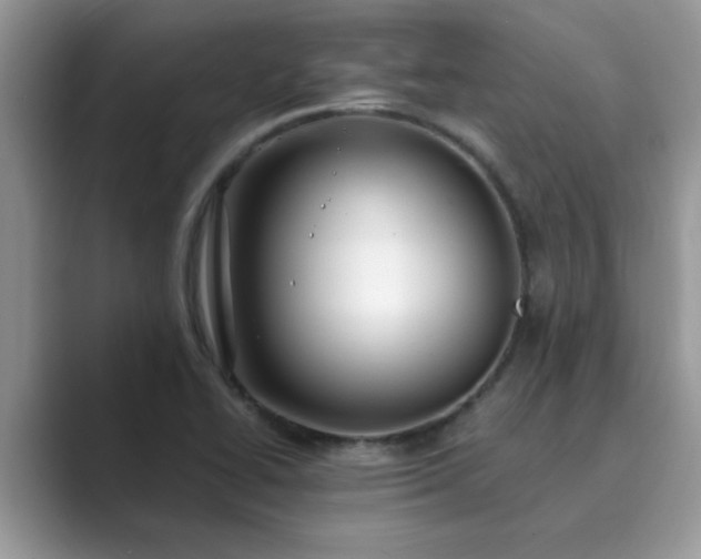 X0000089871414200707051143