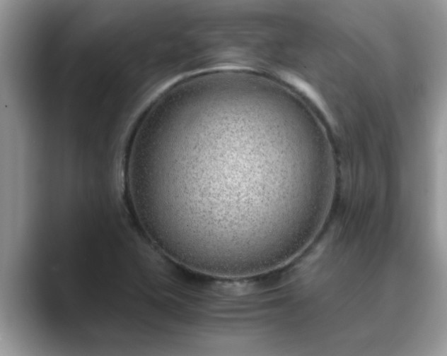X0000089871415200707051143
