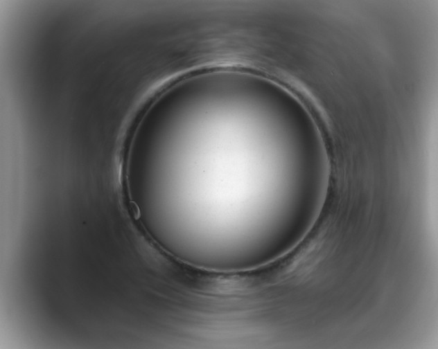 X0000089871416200707051143