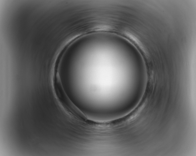 X0000089871418200707051143