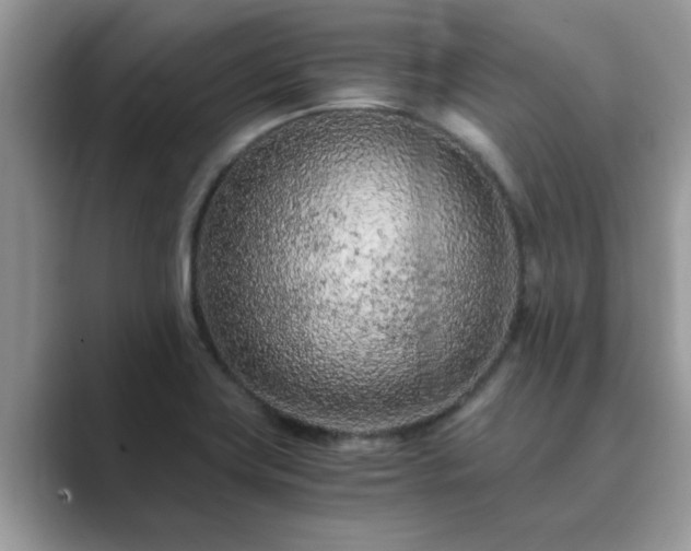 X0000089871419200707051143