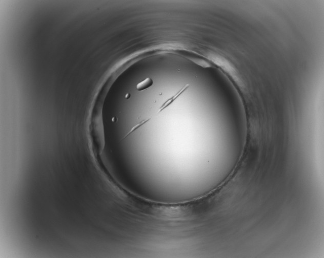 X0000089871428200707051144