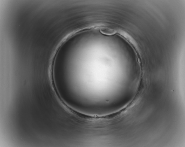 X0000089871429200707051144