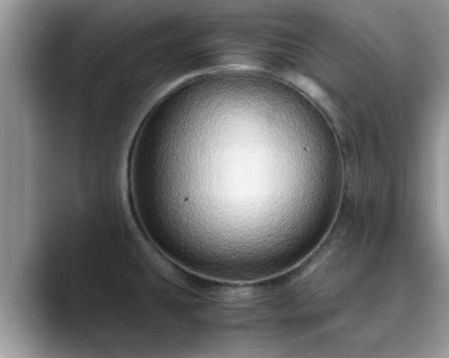 X0000089871431200707051144