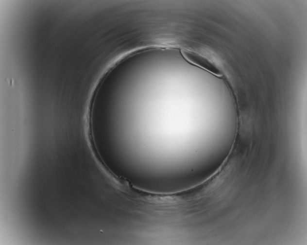 X0000089871432200707051144