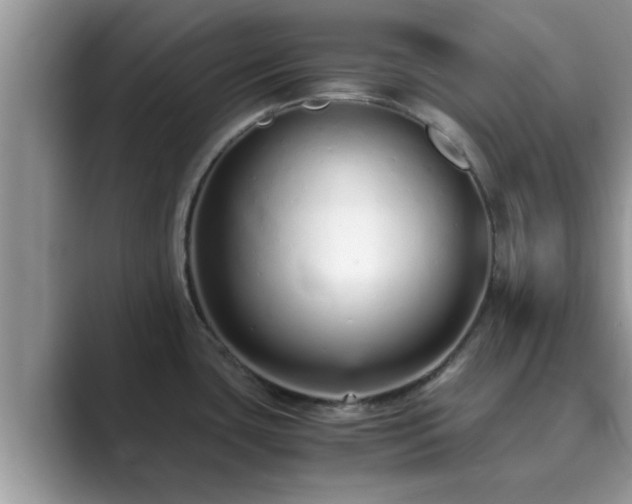 X0000089871435200707051144