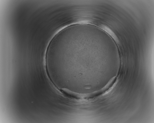 X0000089871436200707051144