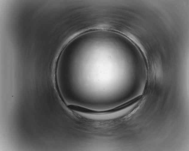 X0000089871437200707051144