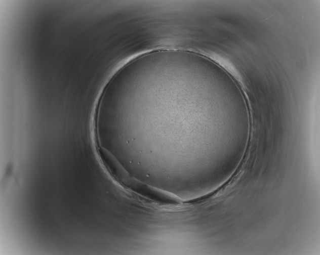 X0000089871440200707051144