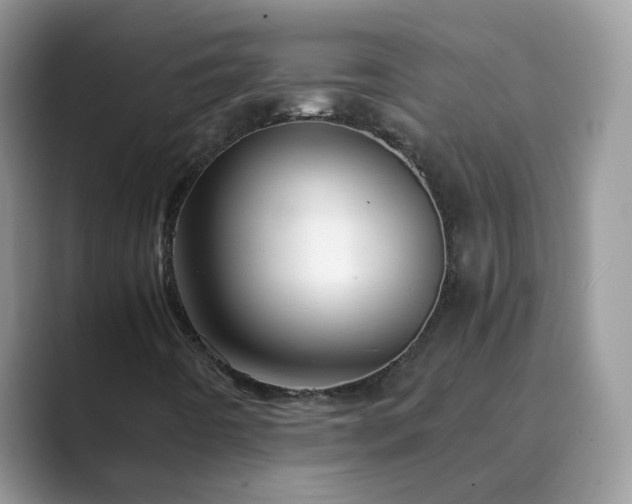 X0000089871442200707051143