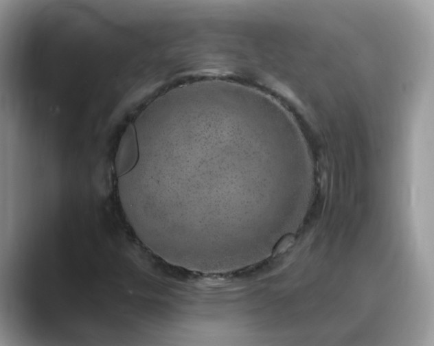 X0000089871448200707051143