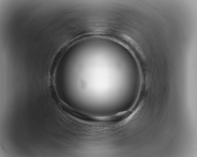 X0000089871449200707051143