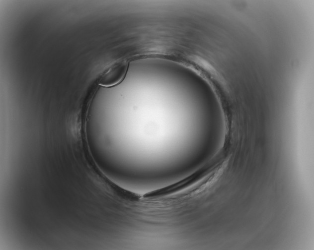 X0000089871450200707051143
