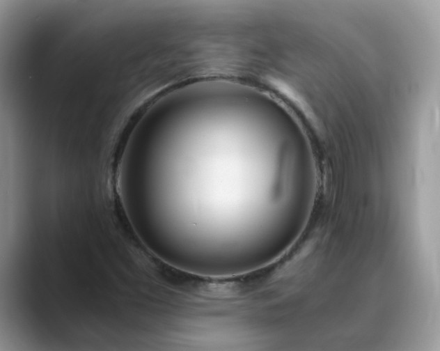 X0000089871453200707051143