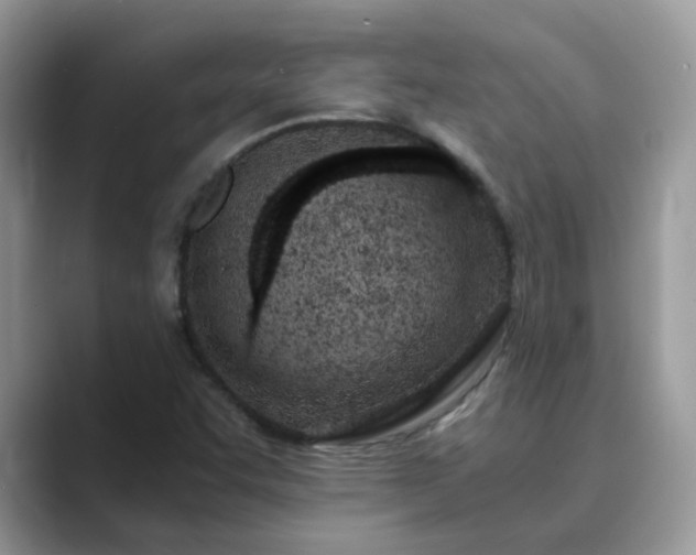 X0000089871455200707051143