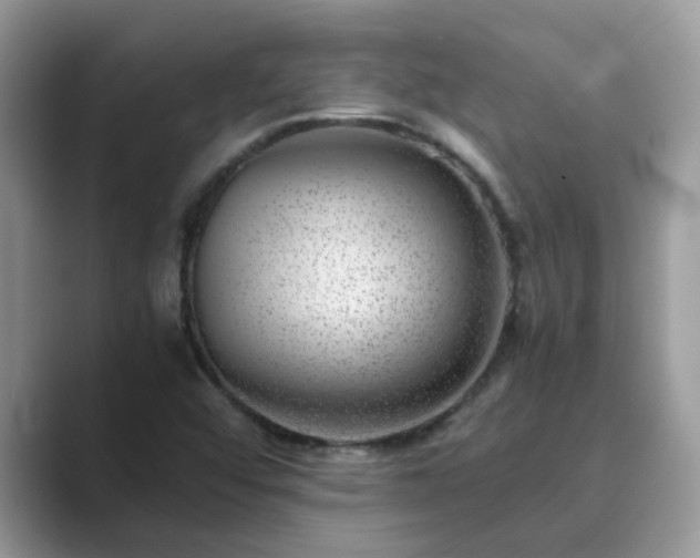 X0000089871456200707051143