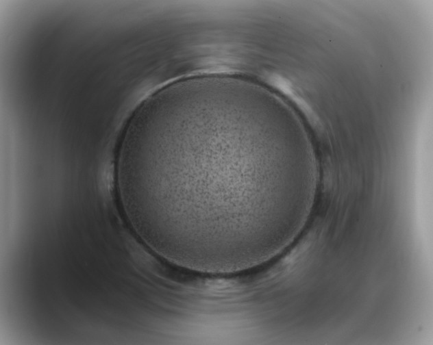 X0000089871459200707051143