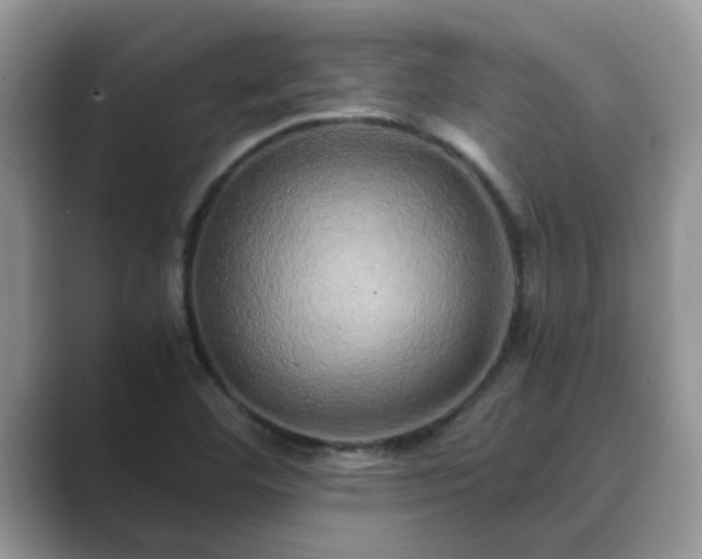 X0000089871460200707051143