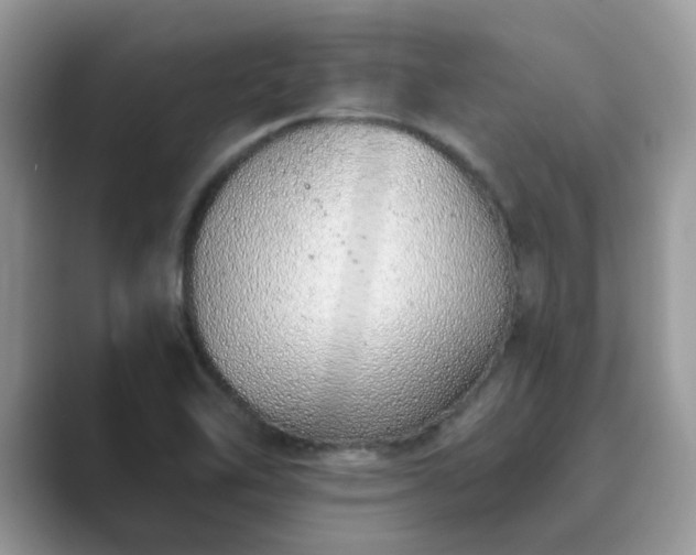 X0000089871462200707051143