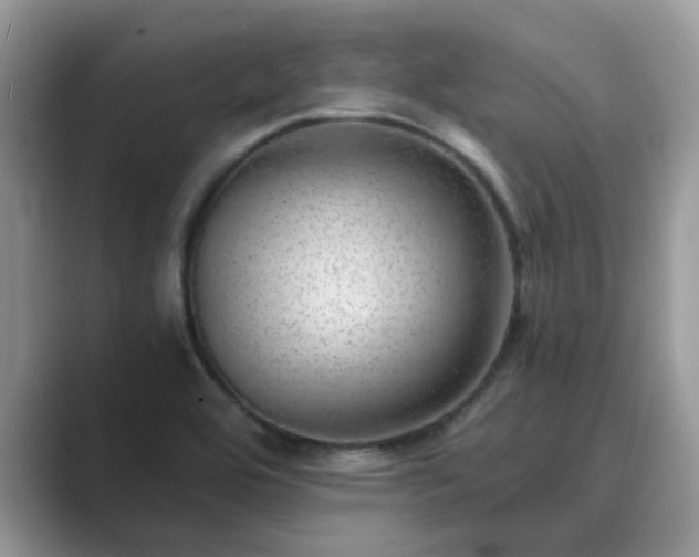 X0000089871464200707051143
