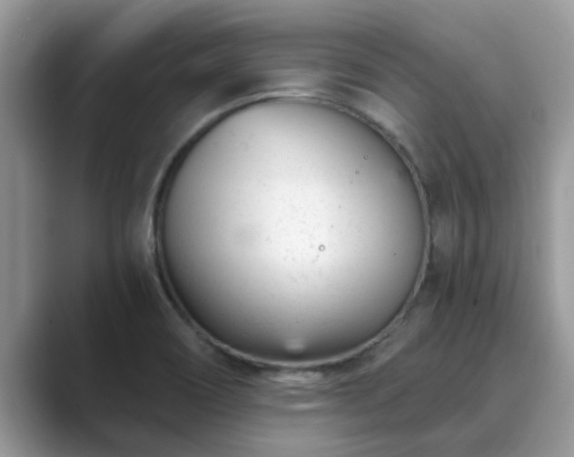 X0000089871466200707051143