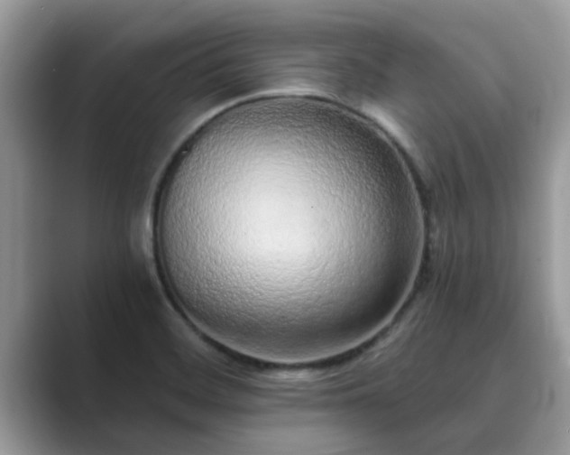 X0000089871468200707051143