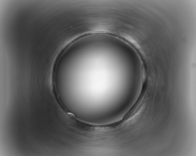 X0000089871469200707051143